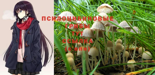 PSILOCYBIN Беломорск